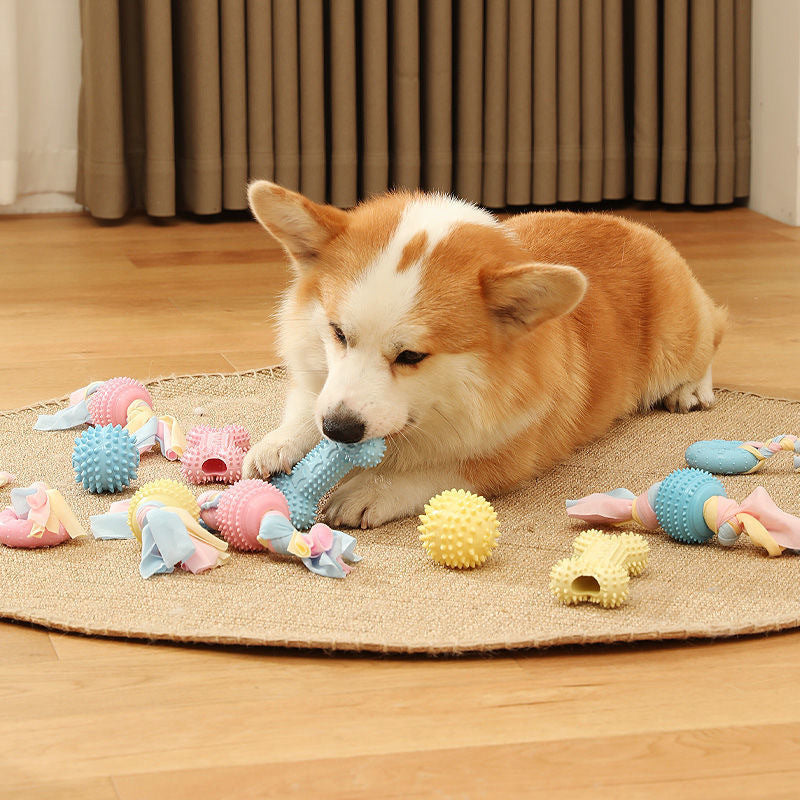 Dog TPR Chew Toys, Macaron Color Teething Sticks with Various Shapes, Bite Resistant Interactive Toys for Puppy Dental Care