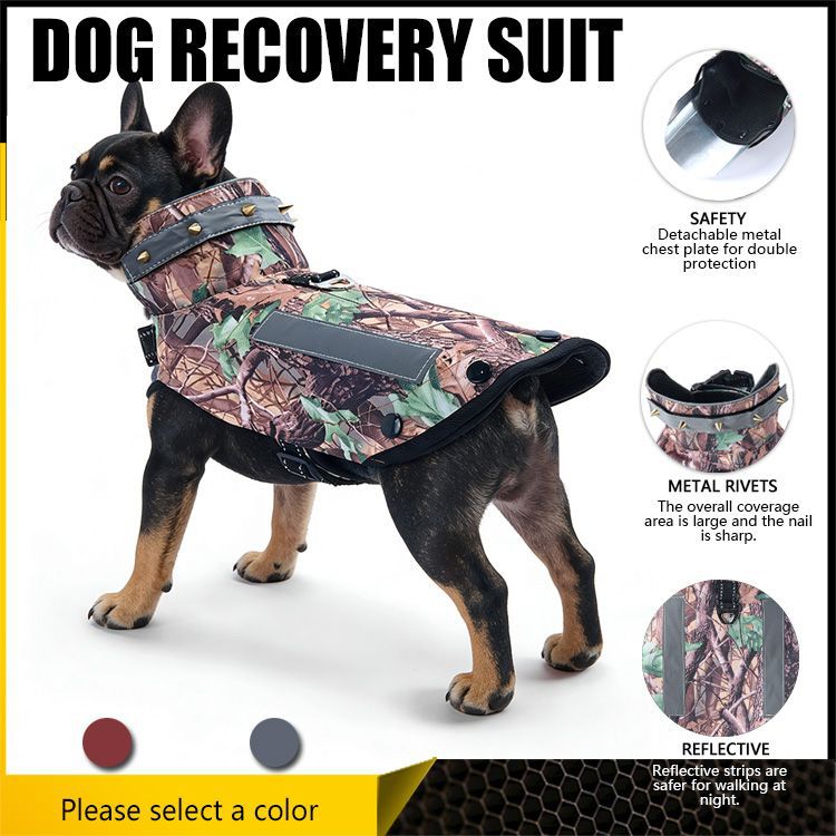 Anti-Bite Dog Vest, Reinforced Spike Protective Vest with Reflective Stripe for Small & Medium Dogs