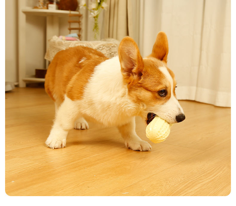 Squeaky Peanut Dog Chew Toy, Non-Toxic TPR Milk Scented Durable Teething Toy for Small Medium Large Dogs, Indestructible Textured Dental Cleaning Puppy Self Play Toy Easy to Clean