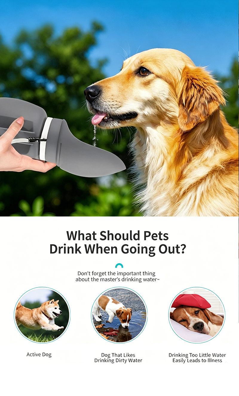 Foldable Silicone Pet Water Bottle | 800ml Leak Proof Portable Dog Water Dispenser for Outdoor Travel 