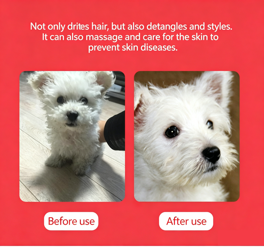 Pet Hair Dryer Brush 2-in-1 Hot Air Comb 300W Silent Fast Drying Dog Cat Grooming Brush 3 Speed Adjustable Floating Hair Remover 110-230V Multi-Plug EU US UK AU JP Plug