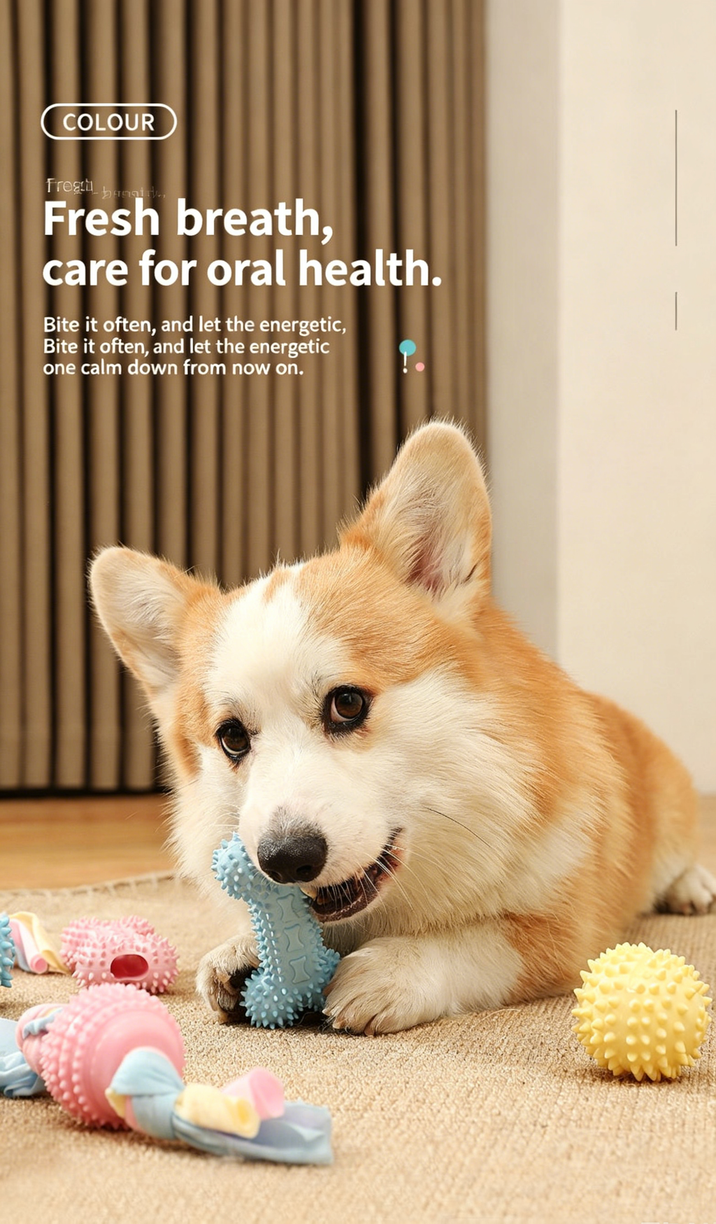 Dog TPR Chew Toys, Macaron Color Teething Sticks with Various Shapes, Bite Resistant Interactive Toys for Puppy Dental Care