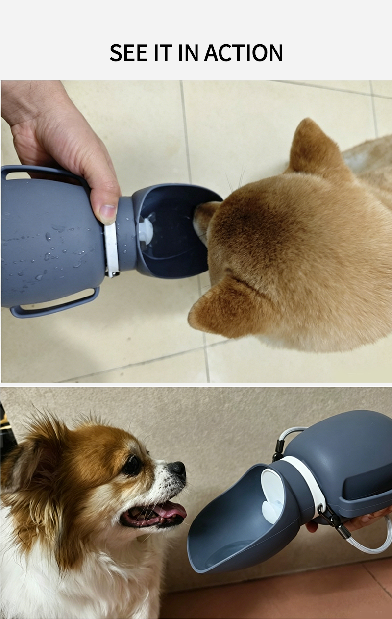 Foldable Silicone Pet Water Bottle | 800ml Leak Proof Portable Dog Water Dispenser for Outdoor Travel 